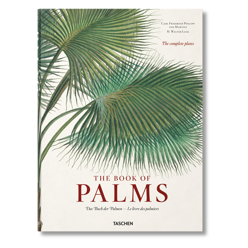 Книга The Book of Palms  в Ульяновске | Loft Concept 