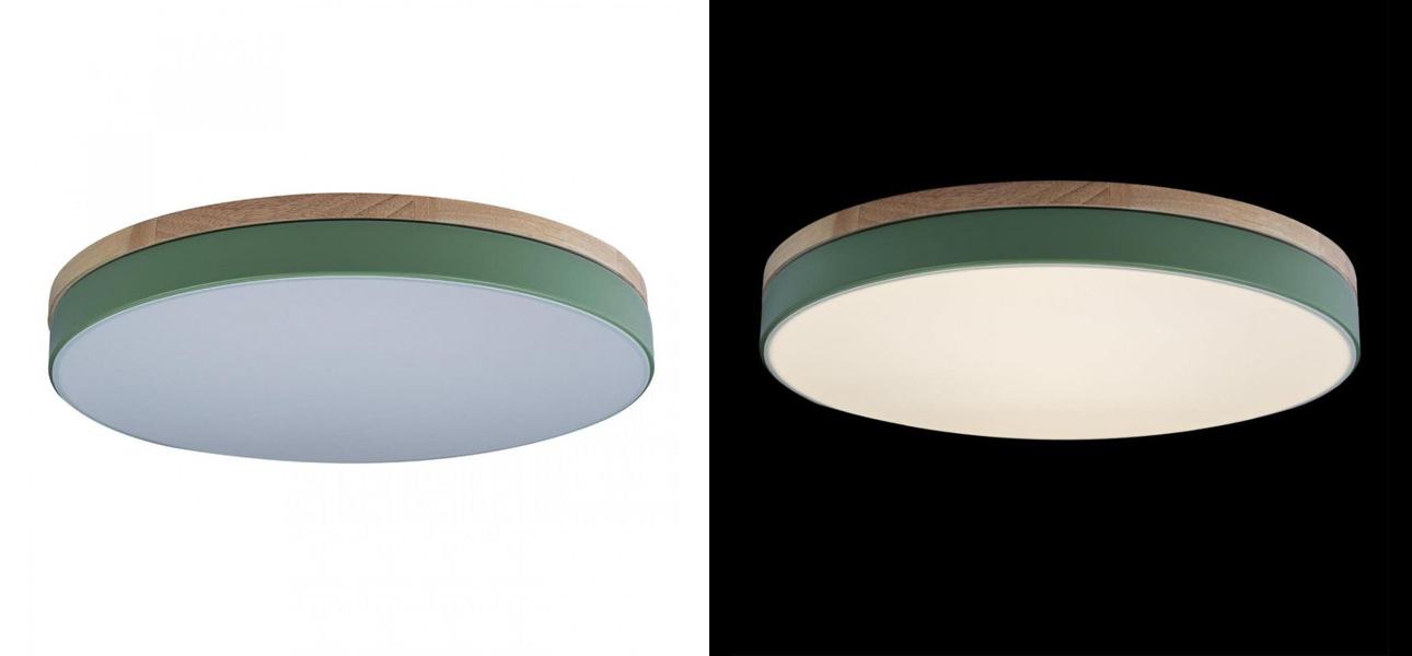 Потолочный светильник Wooden Wheels Green диаметр 50 - фото №1