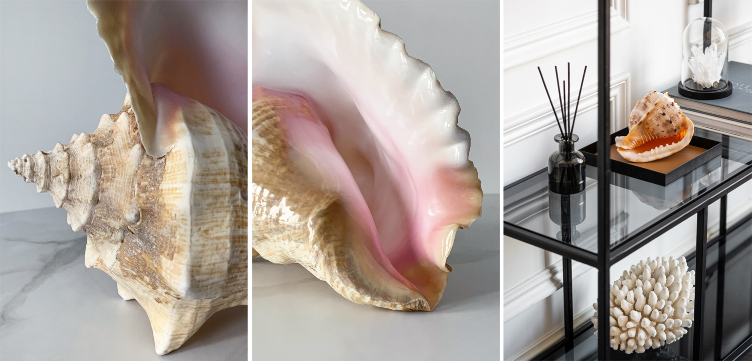 Статуэтка Strombus Gigas Shell - фото