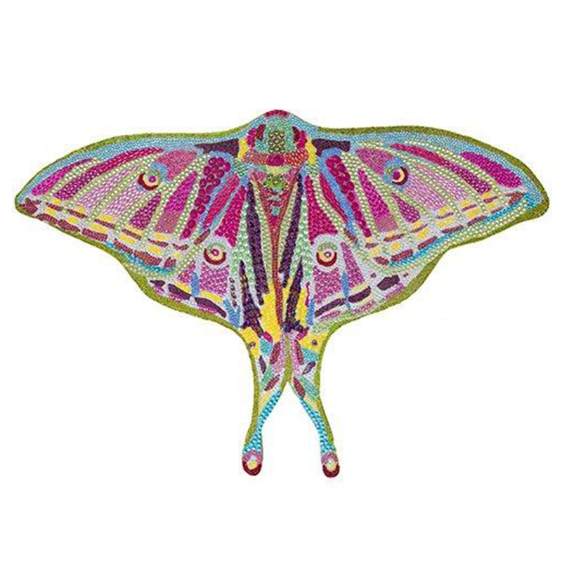 Картина “Spanish Moon Moth Butterfly Cut Out” Мульти в Ульяновске | Loft Concept 