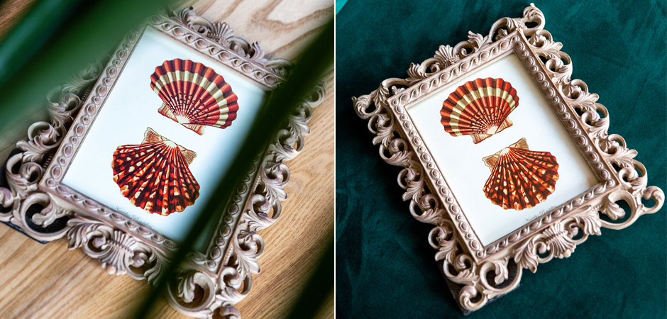 Постер Red Scallop Poster - Loft-Concept в Ульяновске