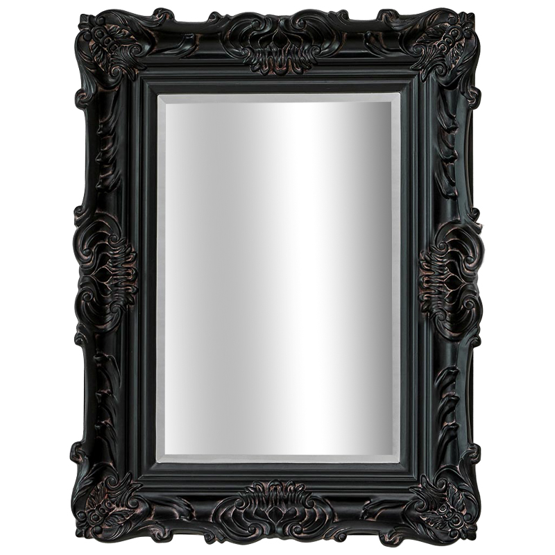 Зеркало Aryan Provence Mirror Black Черный Коричневый в Ульяновске | Loft Concept 