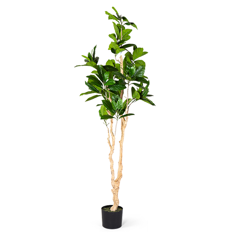 Декоративный искусственный цветок Decorative Tree h187 Зеленый в Ульяновске | Loft Concept 