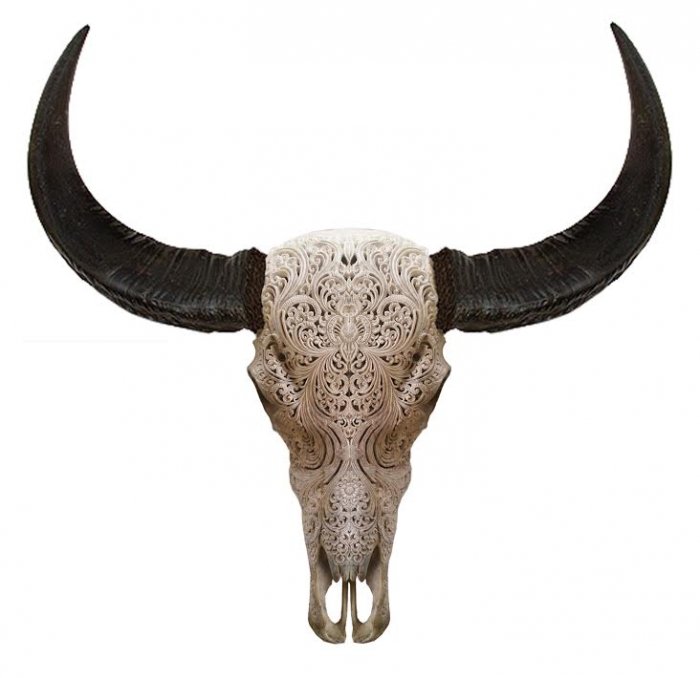 Череп буйвола с резьбой Buffalo Skull Tribal Carving Белый в Ульяновске | Loft Concept 