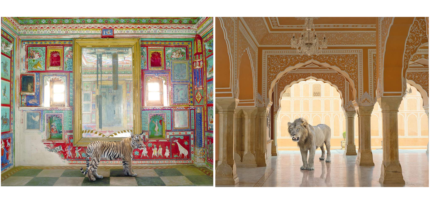 Очень редкое коллекционное издание KAREN KNORR INDIA SONG - фото №1