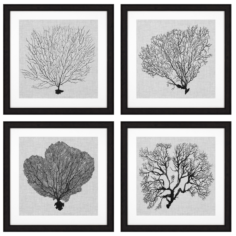 Комплект постеров Eichholtz Prints Shadow Sea Fans set of 4 Черный Черно-белый в Ульяновске | Loft Concept 