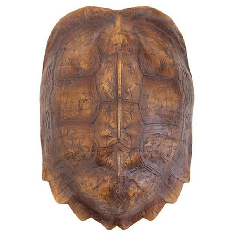 Аксессуар Turtle Shell Natural Light Brown Коричневый в Ульяновске | Loft Concept 