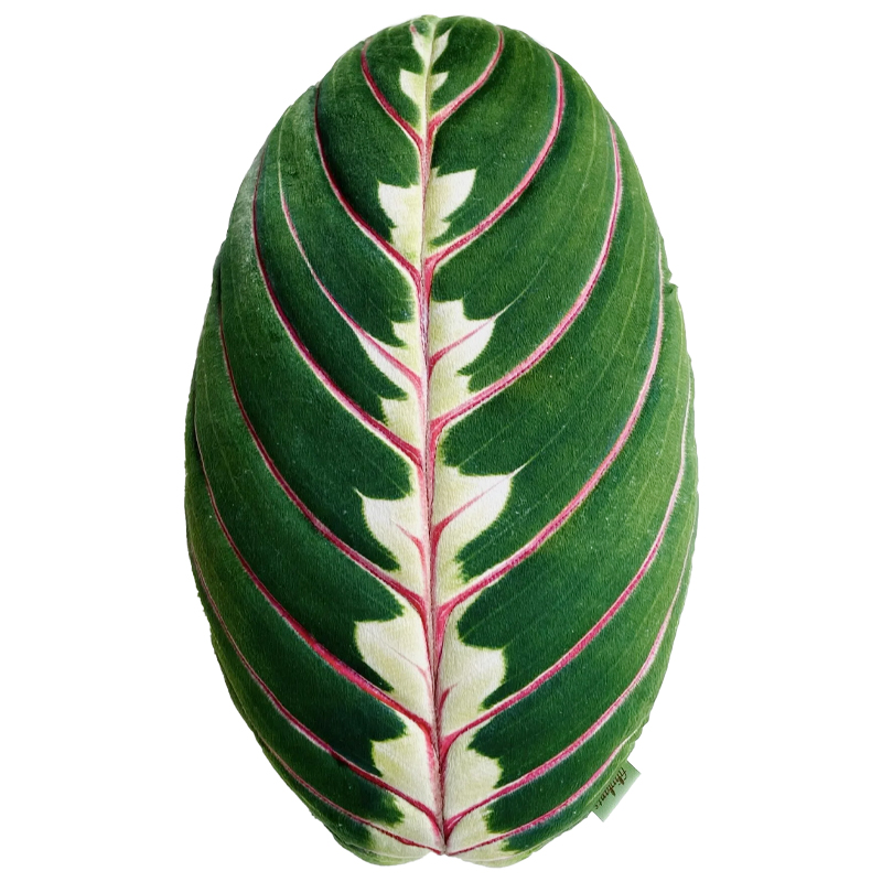 Декоративная подушка Botanical Cushion Maranta Trikolor Зеленый Бургундский красный в Ульяновске | Loft Concept 