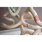 Скульптура «Papañca» варинант исполнения - 3 | Loft Concept в Ульяновске