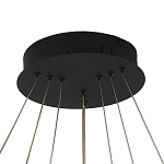 Люстра светодиодная с 3-мя плафонами в форме колец из акрила и алюминия с пультом для регулировки света Ring Horizontal Anthracite варинант исполнения - 5 | Loft Concept в Ульяновске