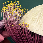 Статуэтка фантастический фрукт Exotic Tropical Fruit orange and white 67 варинант исполнения - 2 | Loft Concept в Ульяновске