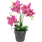 Декоративный искусственное растение Pink orchid варинант исполнения - 1 | Loft Concept в Ульяновске