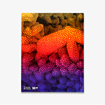 Редкое подарочное издание Yayoi Kusama: 1945 to Now варинант исполнения - 3 | Loft Concept в Ульяновске