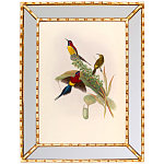 Постер с изображением птиц и цветов в зеркальной раме Blooming Birds Poster варинант исполнения - 4 | Loft Concept в Ульяновске