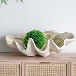 Блюдо декоративное в виде ракушки Seashell варинант исполнения - 3 | Loft Concept в Ульяновске