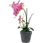 Декоративный искусственное растение Pink orchid варинант исполнения - 4 | Loft Concept в Ульяновске