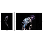 Монография художника Tavares Strachan - There is Light Somewhere варинант исполнения - 6 | Loft Concept в Ульяновске