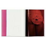 Книга Gisele Bundchen варинант исполнения - 7 | Loft Concept в Ульяновске