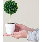 Декоративный искусственное растение Boxwood One варинант исполнения - 6 | Loft Concept в Ульяновске