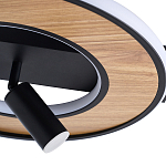 Потолочный светильник круглый GAVIN WOOD варинант исполнения - 2 | Loft Concept в Ульяновске