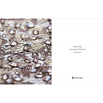 Книга Maison Lesage: Haute Couture Embroidery Mauries Patrick варинант исполнения - 11 | Loft Concept в Ульяновске