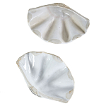 Фигурка из фарфора в виде одной створки ракушки Marine Tridacna варинант исполнения - 3 | Loft Concept в Ульяновске