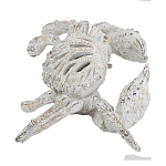 Статуэтка краб с детализированной текстурой в белом цвете Marine Accessories варинант исполнения - 4 | Loft Concept в Ульяновске