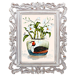 Постер Tropical Orchid Poster