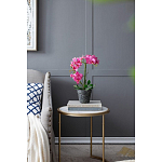 Декоративный искусственное растение Pink orchid варинант исполнения - 8 | Loft Concept в Ульяновске