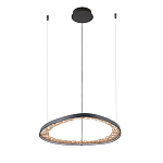 Люстра светодиодная  Iris варинант исполнения - 2 | Loft Concept в Ульяновске