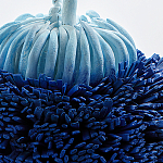 Статуэтка Синий тропический фрукт Tropical Fruit Pandora 1 варинант исполнения - 4 | Loft Concept в Ульяновске