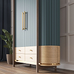 Шкаф «Гавайи» варинант исполнения - 2 | Loft Concept в Ульяновске