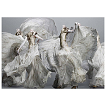 Alexander McQueen: Savage Beauty варинант исполнения - 2 | Loft Concept в Ульяновске