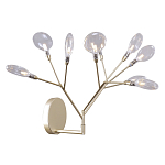 Бра в виде ветвей с прозрачными круглыми плафонами Moooi варинант исполнения - 1 | Loft Concept в Ульяновске