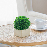 Декоративный искусственное растение Square boxwood варинант исполнения - 6 | Loft Concept в Ульяновске