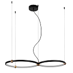 Люстра подвесная светодиодная черный металл Ring Horizontal варинант исполнения - 9 | Loft Concept в Ульяновске