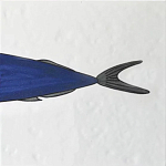 Плитка с узором Рыба пловчиха варинант исполнения - 6 | Loft Concept в Ульяновске