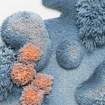 Тканый вручную Большой абстрактный гобелен Frost Forest варинант исполнения - 1 | Loft Concept в Ульяновске