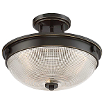 Потолочный светильник со стеклянным плафоном в виде купола Quoizel варинант исполнения - 8 | Loft Concept в Ульяновске