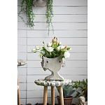 Кашпо Curly baby варинант исполнения - 10 | Loft Concept в Ульяновске