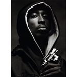 Подарочная книга величайший фотограф Альберт Уотсон The Vienna album Albert Watson варинант исполнения - 2 | Loft Concept в Ульяновске