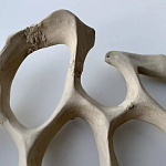 Блюдо «Бежевый коралл» варинант исполнения - 3 | Loft Concept в Ульяновске