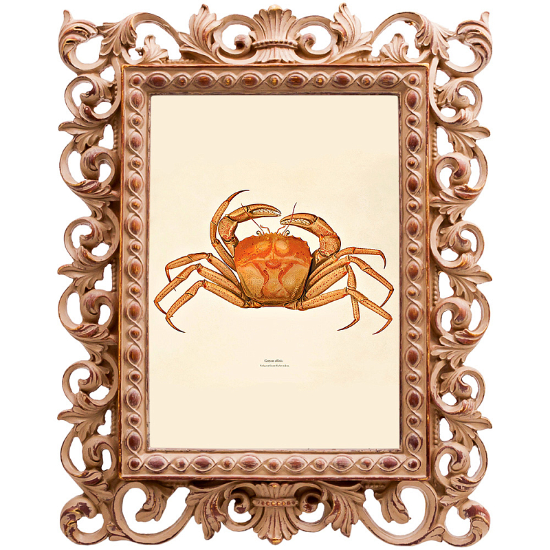 Постер Ocher Crab Poster Бежевый Оранжевый в Ульяновске | Loft Concept 