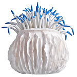 Статуэтка тропический фрукт Tropical Fruit White Blue варинант исполнения - 3 | Loft Concept в Ульяновске