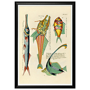 Постер в черной раме Fish Guide 10