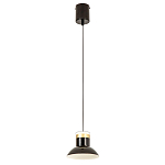 Подвесной светильник Celevis Black варинант исполнения - 2 | Loft Concept в Ульяновске