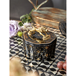 Шкатулка черного цвета с крышкой с фигуркой льва Eden Garden варинант исполнения - 6 | Loft Concept в Ульяновске