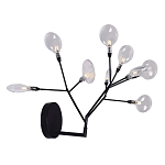 Бра в виде ветвей с прозрачными круглыми плафонами Moooi варинант исполнения - 2 | Loft Concept в Ульяновске