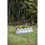 Кашпо Canaries варинант исполнения - 6 | Loft Concept в Ульяновске