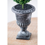 Декоративный искусственное растение Double boxwood варинант исполнения - 7 | Loft Concept в Ульяновске